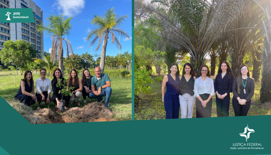 Mostra mulheres em um bosque
