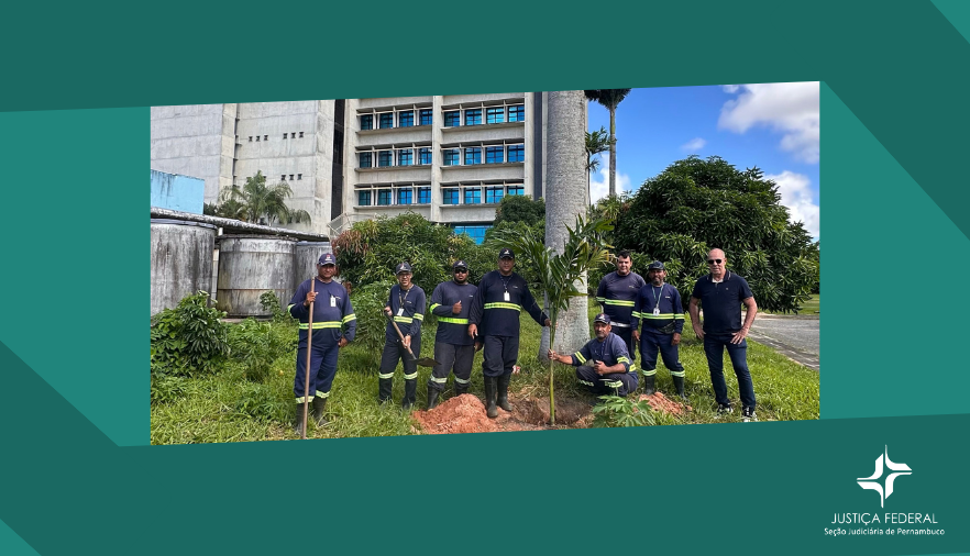 Mostra homens plantando uma árvore