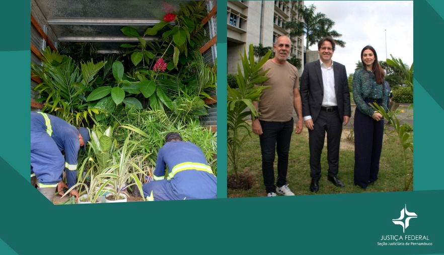 Duas fotos com funcionários trazendo plantas e o plantio coma presença do Diretor do Foro 